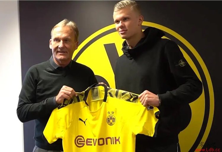 火箭状元秀哈登带队击败国王