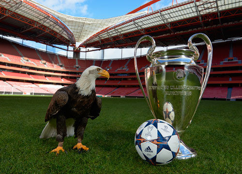 拜仁客战海登海姆：凯恩领衔，卡尔、迪亚斯、格雷罗首发（拜仁客场挑战海登海姆：凯恩领衔，卡尔、迪亚斯、格雷罗先发出战）